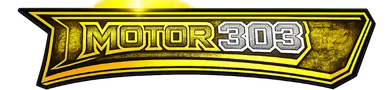 MOTOR303